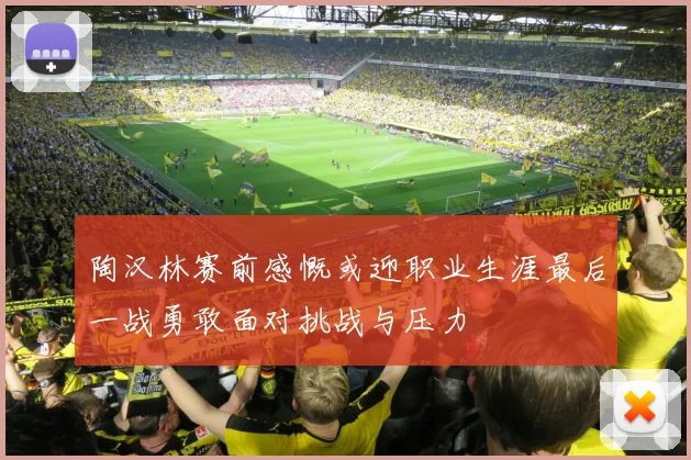 陶汉林赛前感慨或迎职业生涯最后一战勇敢面对挑战与压力